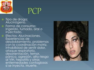  Tipo de droga: 
Alucinógeno. 
 Forma de consumo: 
Ingerido, fumado, oral o 
inyectado. 
 Efectos: Alucinaciones. 
Experiencias de 
desdoblamiento, problemas 
con la coordinación motriz, 
inhabilidad de sentir dolor, 
ataque respiratorio, 
desorientación, temor, 
pánico, agresión, alto riesgo 
al VIH, hepatitis y otras 
enfermedades contagiosas 
si se inyecta. Muerte. 
 