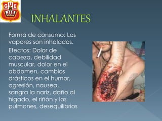 Forma de consumo: Los 
vapores son inhalados. 
Efectos: Dolor de 
cabeza, debilidad 
muscular, dolor en el 
abdomen, cambios 
drásticos en el humor, 
agresión, nausea, 
sangra la nariz, daño al 
hígado, el riñón y los 
pulmones, desequilibrios 
 
