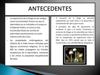 



La experiencia de la droga es tan antigua
como la humanidad. Parece ser que la
adormidera ya se cultivaba en Europa en
la Edad de Piedra, en Suiza se han
encontrado fósiles de semilla de
adormidera perteneciente al cuarto
milenio antes de cristo.
Las propiedades embriagadoras del
cáñamo de la India fueron utilizadas para
algunas ceremonias religiosas. En el año
600 los árabes propagaron las virtudes
terapéuticas de la adormidera, revelando
a los chinos la propiedad estupefaciente
del opio.



El consumo de la droga se extendió
rápidamente por toda China y se desarrolló el
contrabando del opio a gran escala.



A principios del siglo XX aparecieron en
occidente el opio y el hachís. Finalmente el
consumo de drogas se ha extendido por todo el
mundo, creando un grandísimo problema social.
Con la cooperación de organismos como la
ONU. Que en 1971 calculó que en todo el
mundo había unos 120.000.000 de drogadictos.

 