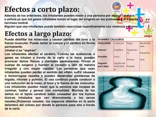 Efectos a corto plazo:
Además de los anteriores, los inhalantes pueden matar a una persona por ataque cardiaco
o asfixia ya que los gases inhalados toman el lugar del oxígeno en los pulmones y el sistema
nervioso central.
Alguien que usa inhalantes puede también reaccionar repentinamente con violencia extrema.

Efectos a largo plazo:
Puede debilitar los músculos y causar pérdida del tono y la
fuerza muscular. Puede dañar el cuerpo y el cerebro en forma
permanente.
inhalan o se ―aspiran‖
Los inhalantes afectan al cerebro. Cuando las sustancias o
gases se inhalan a través de la nariz o la boca, pueden
provocar daños físicos y mentales permanentes. Privan al
cuerpo de oxígeno y fuerzan al corazón a latir de manera
irregular y con mayor rapidez. Las personas que usan
inhalantes pueden perder el sentido del olfato, sufrir náuseas
o hemorragias nasales y pueden desarrollar problemas de
hígado, riñones y pulmón. El uso continuo puede conducir a
una reducción de la masa, el tono y la fuerza de los músculos.
Los inhalantes pueden hacer que la persona sea incapaz de
caminar, hablar y pensar con normalidad. Muchos de los
daños en el tejido cerebral están causados por los humos
tóxicos inhalados que van directamente a los senos
nasales.[fin]senos nasales: los espacios abiertos en la parte
delantera del cráneo por donde la persona pasa aire a través
de la nariz.

NOMBRES CALLEJEROS
INHALANTES

Corrector

Pega

Aerosol

Gasolina

Pegamen
to

Solventes

Pintura

Tiner

Esmaltes
Pegante
para tejas

Reventad
ores

Laca
Liquido de
Marcador Popper
es

 