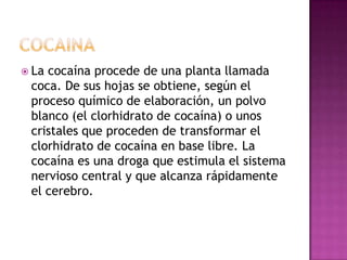  Lacocaína procede de una planta llamada
 coca. De sus hojas se obtiene, según el
 proceso químico de elaboración, un polvo
 blanco (el clorhidrato de cocaína) o unos
 cristales que proceden de transformar el
 clorhidrato de cocaína en base libre. La
 cocaína es una droga que estimula el sistema
 nervioso central y que alcanza rápidamente
 el cerebro.
 