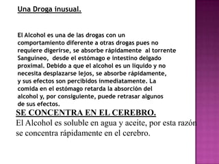 Una Droga inusual.


El Alcohol es una de las drogas con un
comportamiento diferente a otras drogas pues no
requiere digerirse, se absorbe rápidamente al torrente
Sanguíneo, desde el estómago e intestino delgado
proximal. Debido a que el alcohol es un líquido y no
necesita desplazarse lejos, se absorbe rápidamente,
y sus efectos son percibidos inmediatamente. La
comida en el estómago retarda la absorción del
alcohol y, por consiguiente, puede retrasar algunos
de sus efectos.
SE CONCENTRA EN EL CEREBRO.
El Alcohol es soluble en agua y aceite, por esta razón
se concentra rápidamente en el cerebro.
 