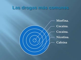 Morfina.
Cocaína.
Cocaína.
Nicotina.
Cafeína
 