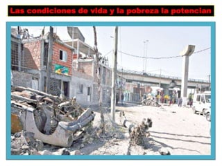 Las condiciones de vida y la pobreza la potencian