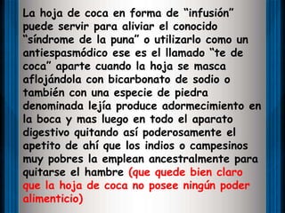 La hoja de coca en forma de “infusión” puede servir para aliviar el conocido “síndrome de la puna” o utilizarlo como un antiespasmódico ese es el llamado “te de coca” aparte cuando la hoja se masca aflojándola con bicarbonato de sodio o también con una especie de piedra denominada lejía produce adormecimiento en la boca y mas luego en todo el aparato digestivo quitando así poderosamente el apetito de ahí que los indios o campesinos muy pobres la emplean ancestralmente para quitarse el hambre (que quede bien claro que la hoja de coca no posee ningún poder alimenticio) 