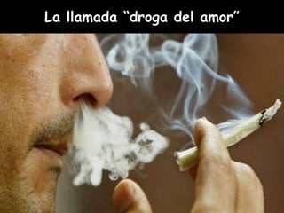 La llamada “droga del amor”