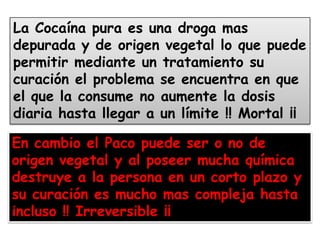 La Cocaína pura es una droga mas depurada y de origen vegetal lo que puede permitir mediante un tratamiento su curación el problema se encuentra en que el que la consume no aumente la dosis diaria hasta llegar a un límite !! Mortal ¡¡En cambio el Paco puede ser o no de origen vegetal y al poseer mucha química destruye a la persona en un corto plazo y su curación es mucho mas compleja hasta incluso !! Irreversible ¡¡