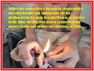 Miles de muertos y hogares destruidos produciendo un aumento de la delincuencia que los motiva a cometer todo tipo de ilícitos para conseguirla generando un grave problema sociál.