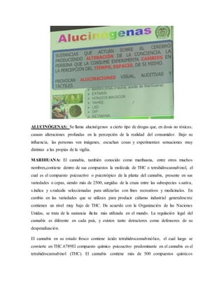 ALUCINÓGENAS: Se llama alucinógenos a cierto tipo de drogas que, en dosis no tóxicas,
causan alteraciones profundas en la percepción de la realidad del consumidor. Bajo su
influencia, las personas ven imágenes, escuchan cosas y experimentan sensaciones muy
distintas a las propias de la vigilia.
MARIHUANA: El cannabis, también conocido como marihuana, entre otros muchos
nombres,contiene dentro de sus compuestos la molécula de THC o tetrahidrocannabinol, el
cual es el compuesto psicoactivo o psicotrópico de la planta del cannabis, presente en sus
variedades o cepas, siendo más de 2500, surgidas de la cruza entre las subespecies s.sativa,
s.índica y s.rudealis seleccionadas para utilizarlas con fines recreativos y medicinales. En
cambio en las variedades que se utilizan para producir cáñamo industrial generalmente
contienen un nivel muy bajo de THC. De acuerdo con la Organización de las Naciones
Unidas, se trata de la sustancia ilícita más utilizada en el mundo. La regulación legal del
cannabis es diferente en cada país, y existen tanto detractores como defensores de su
despenalización.
El cannabis en su estado fresco contiene ácido tetrahidrocannabinólico, el cual luego se
convierte en THC.6789El compuesto químico psicoactivo predominante en el cannabis es el
tetrahidrocannabinol (THC). El cannabis contiene más de 500 compuestos químicos
 