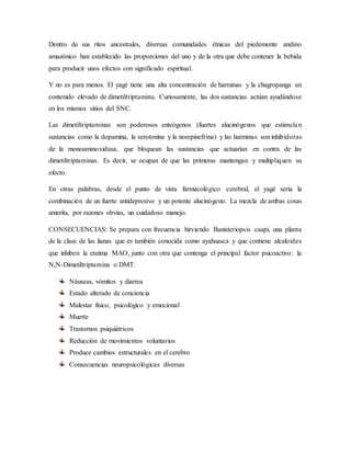 Dentro de sus ritos ancestrales, diversas comunidades étnicas del piedemonte andino
amazónico han establecido las proporciones del uno y de la otra que debe contener la bebida
para producir unos efectos con significado espiritual.
Y no es para menos. El yagé tiene una alta concentración de harminas y la chagropanga un
contenido elevado de dimetiltriptamina. Curiosamente, las dos sustancias actúan ayudándose
en los mismos sitios del SNC.
Las dimetiltriptaminas son poderosos enteógenos (fuertes alucinógenos que estimulan
sustancias como la dopamina, la serotonina y la norepinefrina) y las harminas son inhibidoras
de la monoaminoxidasa, que bloquean las sustancias que actuarían en contra de las
dimetiltriptaminas. Es decir, se ocupan de que las primeras mantengan y multipliquen su
efecto.
En otras palabras, desde el punto de vista farmacológico cerebral, el yagé sería la
combinación de un fuerte antidepresivo y un potente alucinógeno. La mezcla de ambas cosas
amerita, por razones obvias, un cuidadoso manejo.
CONSECUENCIAS: Se prepara con frecuencia hirviendo Banisteriopsis caapi, una planta
de la clase de las lianas que es también conocida como ayahuasca y que contiene alcaloides
que inhiben la enzima MAO, junto con otra que contenga el principal factor psicoactivo: la
N,N-Dimetiltriptamina o DMT.
Náuseas, vómitos y diarrea
Estado alterado de conciencia
Malestar físico, psicológico y emocional
Muerte
Trastornos psiquiátricos
Reducción de movimientos voluntarios
Produce cambios estructurales en el cerebro
Consecuencias neuropsicológicas diversas
 