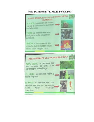 FASES DEL HOMBRE Y LA MUJER BORRACHOS:
 