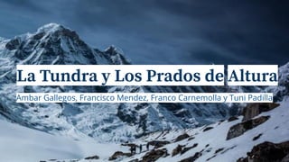 La Tundra y Los Prados de Altura
Ambar Gallegos, Francisco Mendez, Franco Carnemolla y Tuni Padilla
 