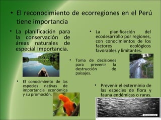 El reconocimiento de ecorregiones en el Perú tiene importancia La planificación para la conservación de áreas naturales de especial importancia.  La planificación del ecodesarrollo por regiones, con conocimientos de los factores ecológicos favorables y limitantes.  El conocimiento de las especies nativas de importancia económica y su promoción.  Toma de decisiones para prevenir la destrucción de paisajes.  Prevenir el exterminio de las especies de flora y fauna endémicas o raras.  