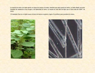 La mezcla de ramio con seda aporta un toque de cuerpo a la seda, mientras que esta suaviza al ramio. La Seda añade una gran
cantidad de resistencia a las arrugas y de elasticidad al ramio. La mezcla es más fácil de tejer que si fuera esta de 100% de
ramio.
El resultado final es un tejido suave al tacto de textura crujiente y ligera. Es perfecto para prendas de verano.
 