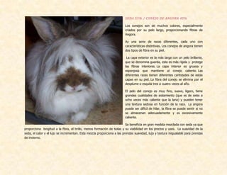 SEDA 55% / CONEJO DE ANGORA 45%
Los conejos son de muchos colores, especialmente
criados por su pelo largo, proporcionando fibras de
Angora.
Ay una serie de razas diferentes, cada uno con
características distintivas. Los conejos de angora tienen
dos tipos de fibra en su piel.
La capa exterior es la más larga con un pelo brillante,
que se denomina guarda, esta es más rígida y protege
las fibras interiores. La capa interior es gruesa y
esponjosa que mantiene al conejo caliente. Las
diferentes razas tienen diferentes cantidades de estas
capas en su piel. La fibra del conejo se elimina por el
desplume o esquila tres a cuatro veces al año.
El pelo del conejo es muy fino, suave, ligero, tiene
grandes cualidades de aislamiento (que es de siete a
ocho veces más caliente que la lana) y pueden tener
una textura sedosa en función de la raza. La angora
puede ser difícil de hilar, la fibra se puede sentir si no
se almacenan adecuadamente y es excesivamente
caliente.
Se beneficia en gran medida mezclada con seda ya que
proporciona longitud a la fibra, el brillo, menos formación de bolas y su viabilidad en los precios y usos. La suavidad de la
seda, el calor y el lujo se incrementan. Esta mezcla proporciona a las prendas suavidad, lujo y textura inigualable para prendas
de invierno.
 