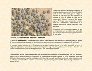 Por efecto de la influencia topográfica, del clima de
los países donde sucesivamente fueron llevados a
través de tantos siglos de cría, por los trabajos de
selección de cada región, por el cruzamiento y los
métodos de cría el gusano de seda se ha
transformado distando muchísimo del gusano
original. Por lo que actualmente existen distintas
razas con características especializadas a la
ideología determinada por los criadores a través
del mundo.
El estudio de esos caracteres en cada tipo de raza
es indispensable para saber determinar cuál será el
que convenga criar en cada país y particularmente
en cada región.
Existen tres tipos: monovoltinos, bivoltinos y polivoltinos.
En la raza de monovoltinos; Evoluciona el gusano una vez al año dando una sola generación y deben ser criados en lugares
de veranos cortos cuyas temperaturas no dan tiempo a que la eclosión de los huevos de la primera generación se efectué.
Es necesario guardar la semilla de un año para otro en un lugar frio, generalmente en los países que se cría se tienen en
refrigeradores para evitar que cualquier temperatura anticipada los haga evolucionar, estos gusanos llevados a otro clima más
caliente tienen tendencia a producir varias generaciones, pero terminan por degenerar.
Generalmente la eclosión extemporánea de este tipo es un verdadero problema si no se tienen lugares fríos para detenerla y
producirla en el momento oportuno. El nacimiento de estos gusanos no puede producirse en forma caprichosa, puesto que
debe estar relacionado con la aparición de los primeros brotes de la morera de cuyas hojas se alimenta casi en exclusiva, por lo
ya dicho si el gusano nace fuera de tiempo no tendrán con que alimentarse y se abra perdido el trabajo de guardar los huevos
durante un año.
 