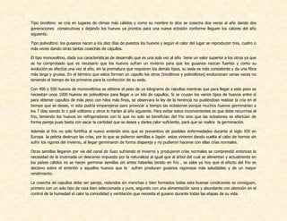 Tipo bivoltino: se cría en lugares de climas más cálidos y como su nombre lo dice se cosecha dos veces al año dando dos
generaciones consecutivas y dejando los huevos ya prontos para una nueva eclosión conforme lleguen los calores del año
siguiente.
Tipo polivoltino: los gusanos nacen a los diez días de puestos los huevos y según el calor del lugar se reproducen tres, cuatro o
más veces dando otras tantas cosechas de capullos.
El tipo monovoltino, dada sus características de desarrollo que es una sola vez al año tiene un valor superior a los otros ya que
se ha comprobado que es necesario que los huevos sufran un invierno para que los gusanos nazcan fuertes y como su
evolución se efectúa una vez al año, sin la prematura que requieren los demás tipos, su seda es más consistente y da una fibra
más larga y gruesa. En el término que estos forman un capullo los otros (bivoltinos y polivoltinos) evolucionan varias veces no
teniendo el tiempo de los primeros para la confección de su seda.
Con 400 o 500 huevos de monovoltinos se obtiene el peso de un kilogramo de capullos mientras que para llegar a este peso se
necesitan unos 1000 huevos de polivoltinos para llegar a un kilo de capullos. Si se cruzan los varios tipos de huevos entre sí
para obtener capullos de más peso con hilos más finos, se observara la ley de la herencia no pudiéndose realizar la cría en el
tiempo que se desee, ni esta podría emparejarse para provocar a tiempo las eclosiones porque muchos huevos germinarían a
los 7 días siendo bi o poli voltismo y otros lo harían al año siguiente. Para evitar estos inconvenientes es que debe recurrirse al
frio, teniendo los huevos en refrigeradores con lo que no solo se benefician del frio sino que las eclosiones se efectúan de
forma pareja pues basta con sacar la cantidad que se desea y darles calor suficiente, pará que se realice la germinación.
Además el frio no solo fortifica al nuevo embrión sino que es preventivo de posibles enfermedades durante el siglo XIX en
Europa la pebria destruyo las crías, por lo que se pidieron semillas a Japón estas vinieron dando vuelta al cabo de hornos sin
sufrir los rigores del invierno, al llegar germinaron de forma dispareja y no pudieron hacerse con ellas crías normales.
Otras semillas llegaron por vía del canal de Suez sufriendo el invierno y produjeron crías normales se comprendió entonces la
necesidad de la invernada un descanso impuesto por la naturaleza al igual que al árbol del cual se alimentan y actualmente en
los países cálidos no se hacen germinar semillas sin antes haberlas tenido en frio , se sabe ya hoy que el efecto del frio es
decisivo sobre el embrión y aquellos huevos que lo sufren producen gusanos vigorosos más saludables y de un mayor
rendimiento.
La cosecha de capullos debe ser pareja, redondos sin manchas y bien formados todas esta buenas condiciones se consiguen,
primero con un solo tipo de raza bien seleccionada y pura, segundo con una alimentación sana y abundante con atención en el
control de la humedad el calor la comodidad y ventilación que necesita el gusano durante todas las etapas de su vida.
 