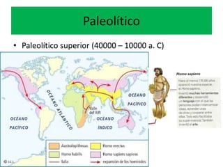 Paleolítico
• Paleolítico superior (40000 – 10000 a. C)
 