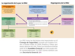 La organización de la paz: la ONU Organigrama de la ONU
 