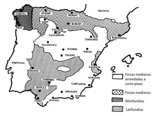 Fincas medianas
arrendadas a
corto plazo

Fincas medianas

Minifundios

Latifundios
 