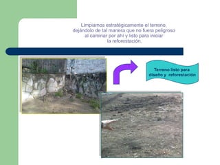 Limpiamos estratégicamente el terreno,
dejándolo de tal manera que no fuera peligroso
      al caminar por ahí y listo para iniciar
                la reforestación.




                                    Terreno listo para
                                  diseño y reforestación
 