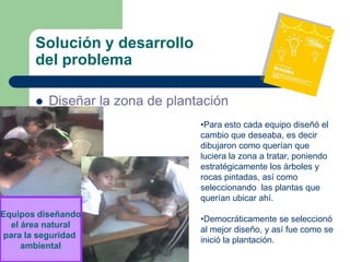 Solución y desarrollo
       del problema

          Diseñar la zona de plantación
                                   •Para esto cada equipo diseñó el
                                   cambio que deseaba, es decir
                                   dibujaron como querían que
                                   luciera la zona a tratar, poniendo
                                   estratégicamente los árboles y
                                   rocas pintadas, así como
                                   seleccionando las plantas que
                                   querían ubicar ahí.
Equipos diseñando
                                   •Democráticamente se seleccionó
  el área natural
                                   al mejor diseño, y así fue como se
 para la seguridad
                                   inició la plantación.
     ambiental
 
