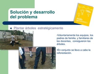 Solución y desarrollo
del problema

   Plantar árboles estratégicamente

                               •Voluntariamente los equipos, los
                               padres de familia, y familiares de
                               los docentes, consiguieron los
                               árboles.

                               •En conjunto se llevo a cabo la
                               reforestación.
 