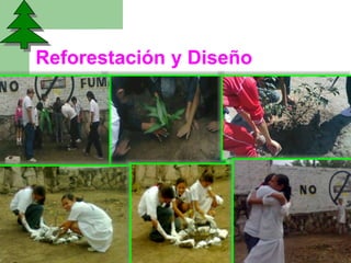 Reforestación y Diseño
 