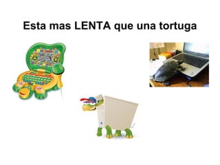 Esta mas LENTA que una tortuga
 