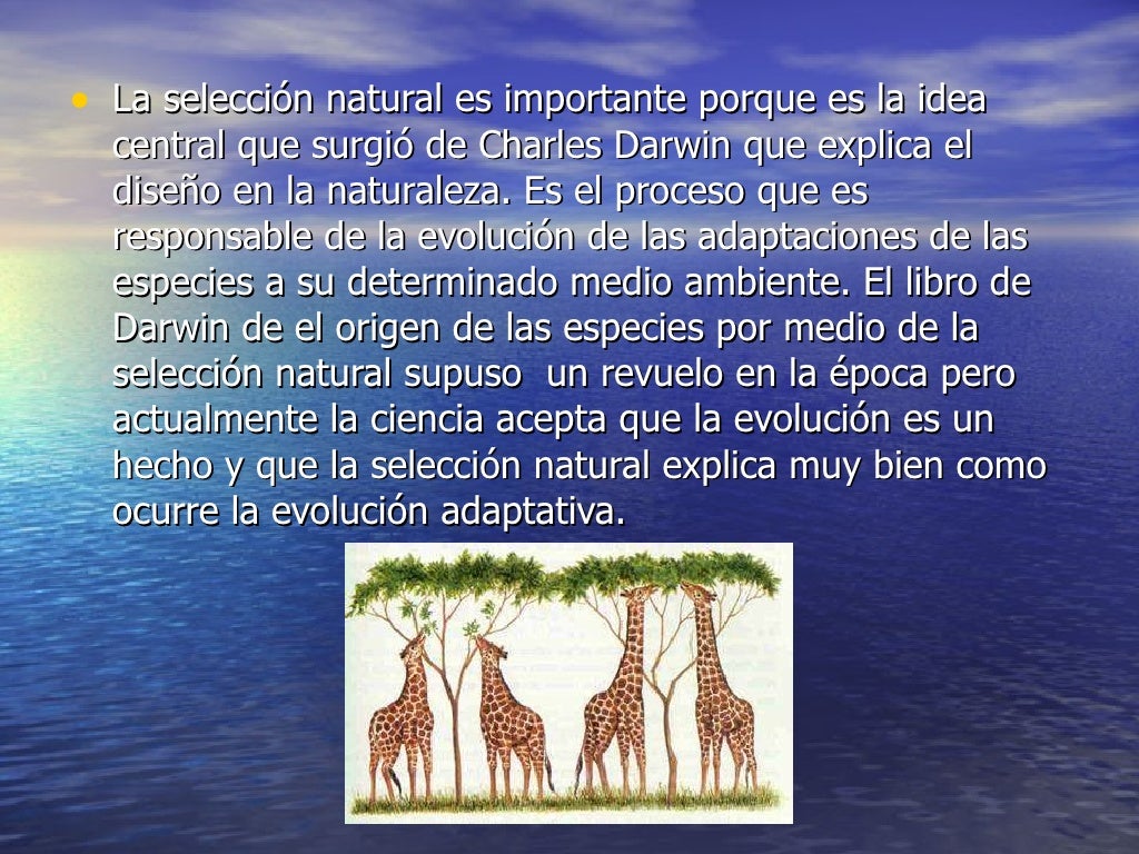 La selección natural
