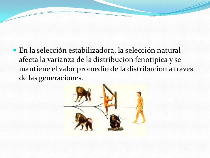 La selección natural