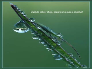 Quando estiver cheio, segure um pouco e observe! 