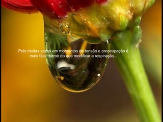 Pois muitas vezes em momentos de tensão e preocupação é mais fácil dormir do que modificar a respiração... 