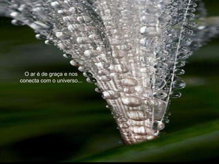 O ar é de graça e nos conecta com o universo... 