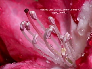 Respire bem grande...aumentando seu
          espaço interior...
 
