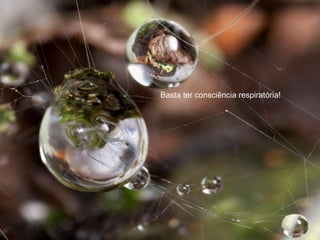 Basta ter consciência respiratória!
 