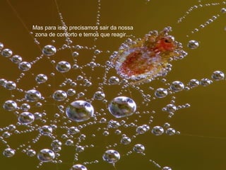 Mas para isso precisamos sair da nossa
 zona de conforto e temos que reagir...
 