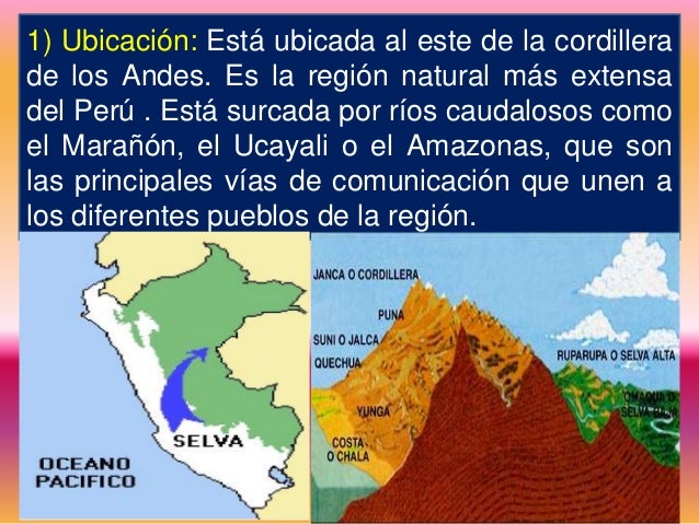 La selva
