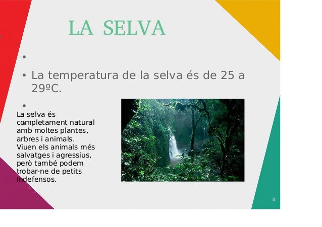 La selva