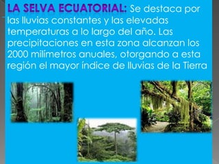 Se destaca por
las lluvias constantes y las elevadas
temperaturas a lo largo del año. Las
precipitaciones en esta zona alcanzan los
2000 milímetros anuales, otorgando a esta
región el mayor índice de lluvias de la Tierra

 