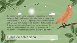 Clima de selva seca
Se desarrolla en clima seco con temperatura mínima
extrema de 0° en los días más fríos, pero en promedio
varían entre 20 a 29°C. La precipitación varía entre los
300 y 1,200 mm (1,800 como máximo) de lluvia con 5 a
8 meses secos entre diciembre y mayo. A pesar de
estar en un clima seco, la franja de territorio que ocupa
no es tan seca como las grandes planicies del norte.
 