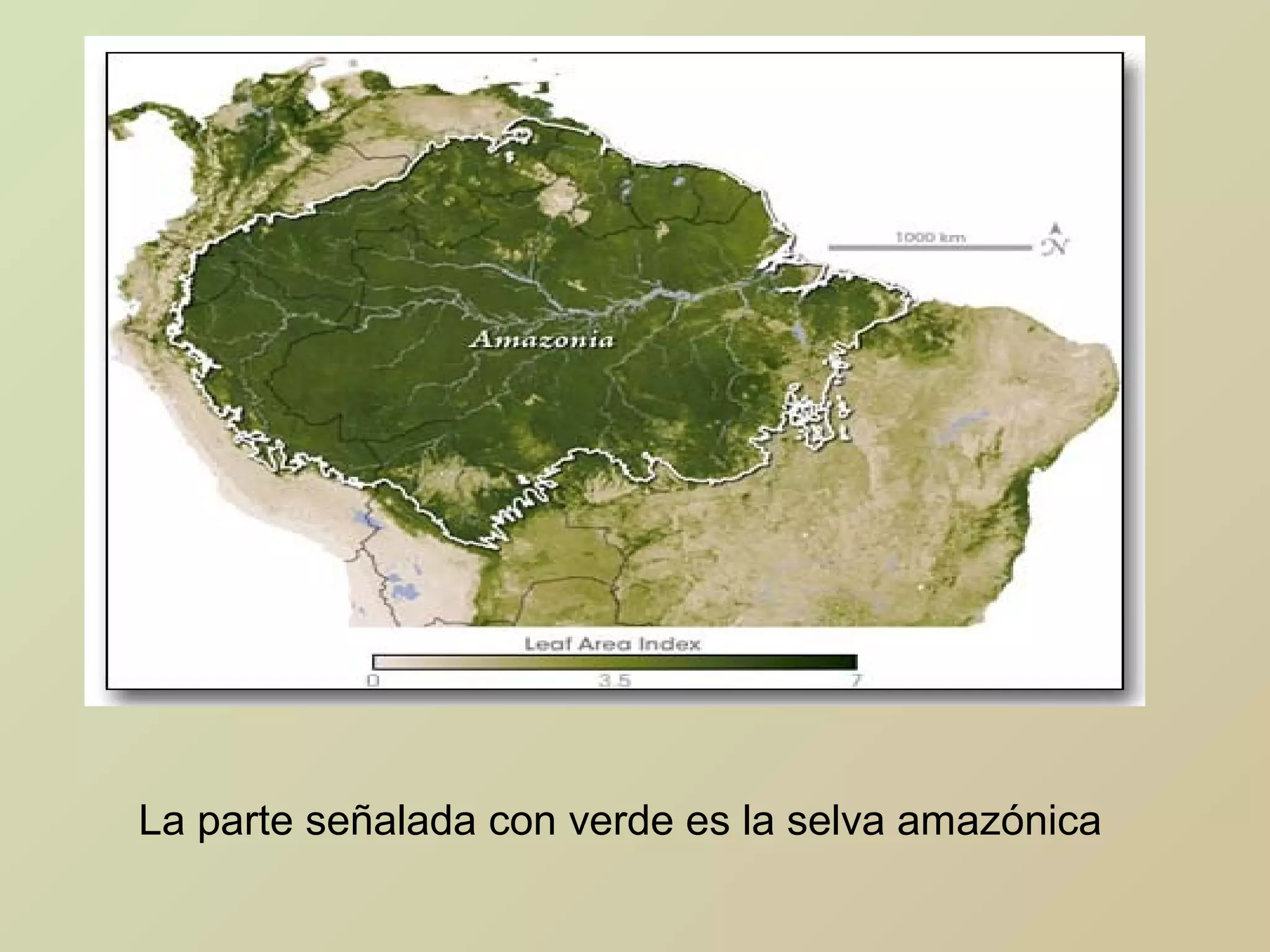 La parte señalada con verde es la selva amazónica