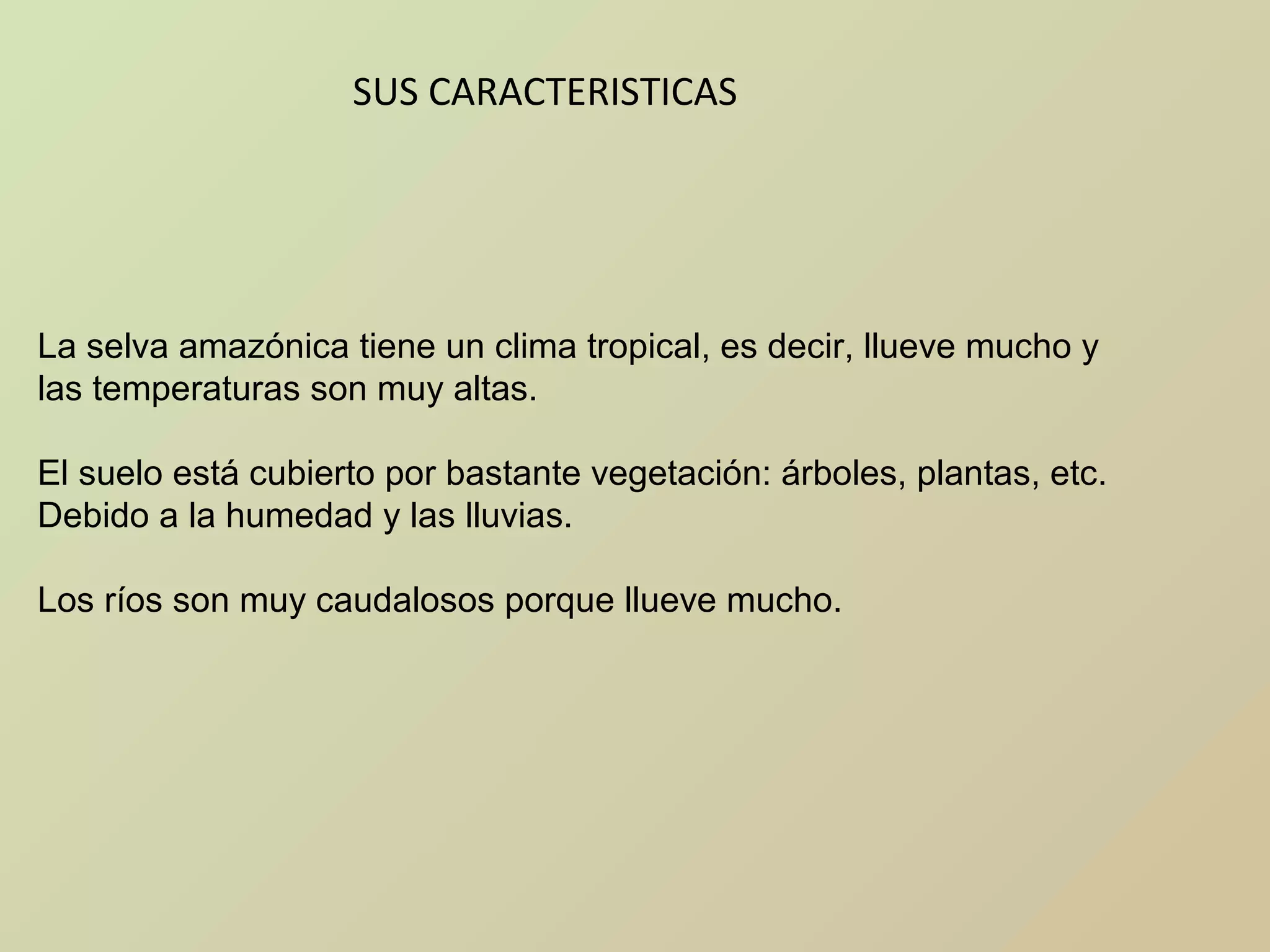 SUS CARACTERISTICAS
La selva amazónica tiene un clima tropical, es decir, llueve mucho y
las temperaturas son muy altas.
El suelo está cubierto por bastante vegetación: árboles, plantas, etc.
Debido a la humedad y las lluvias.
Los ríos son muy caudalosos porque llueve mucho.
