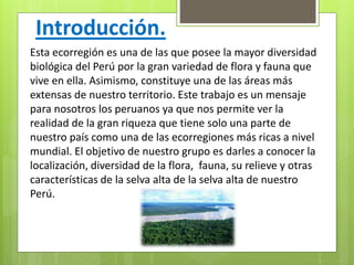 Introducción.
Esta ecorregión es una de las que posee la mayor diversidad
biológica del Perú por la gran variedad de flora y fauna que
vive en ella. Asimismo, constituye una de las áreas más
extensas de nuestro territorio. Este trabajo es un mensaje
para nosotros los peruanos ya que nos permite ver la
realidad de la gran riqueza que tiene solo una parte de
nuestro país como una de las ecorregiones más ricas a nivel
mundial. El objetivo de nuestro grupo es darles a conocer la
localización, diversidad de la flora, fauna, su relieve y otras
características de la selva alta de la selva alta de nuestro
Perú.
 