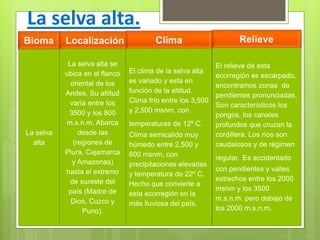 La selva alta.
Bioma Localización Clima Relieve
La selva
alta
La selva alta se
ubica en el flanco
oriental de los
Andes. Su altitud
varía entre los
3500 y los 800
m.s.n.m. Abarca
desde las
(regiones de
Piura, Cajamarca
y Amazonas)
hasta el extremo
de sureste del
país (Madre de
Dios, Cuzco y
Puno).
El clima de la selva alta
es variado y esta en
función de la altitud.
Clima frío entre los 3,500
y 2,500 msnm, con
temperaturas de 12º C.
Clima semicalido muy
húmedo entre 2,500 y
600 msnm, con
precipitaciones elevadas
y temperatura de 22º C.
Hecho que convierte a
esta ecorregión en la
más lluviosa del país.
El relieve de esta
ecorregión es escarpado,
encontramos zonas de
pendientes pronunciadas.
Son característicos los
pongos, los canales
profundos que cruzan la
cordillera. Los ríos son
caudalosos y de régimen
regular. Es accidentado
con pendientes y valles
estrechos entre los 2000
msnm y los 3500
m.s.n.m. pero debajo de
los 2000 m.s.n.m.
 