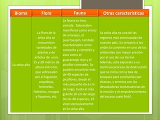 Bioma Flora Fauna Otras características
La selva alta
La flora de la
selva alta se
encuentran
variedades de
plantas y de
arboles de unos
15 y 20 metros de
altura entro los
que sobresalen
son el higuerón,
orquídeas,
brómelas,
helechos, musgos
y líquenes, etc.
La fauna es muy
variada. Sobresalen
mamíferos como el oso
de anteojos, el
puercoespín, también
invertebrados como
caracoles y ciempiés y
aves como el
guacamayo rojo y el
picaflor coronado. Se
pueden encontrar más
de 40 especies de
picaflores, desde el
más pequeño de 6 cm
de largo, hasta el más
grande 20 cm de largo.
De las 40 especies, 19
viven exclusivamente
en la selva alta.
La selva alta es una de las
regiones más amenazadas de
nuestro país. Su cercanía a los
andes la convierte en uno de los
ambientes con mayor presión
por el uso de sus tierras.
Además, esta expuesta a un
continuo proceso de destrucción
que se inicia con la tala de
bosques para sustituirlos por
chacras, y termina con las
devastadoras consecuencias de
la erosión y el empobrecimiento
del escaso suelo fértil.
 