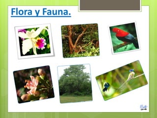 Flora y Fauna.
 