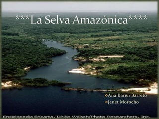 ***La Selva Amazónica**** ,[object Object]