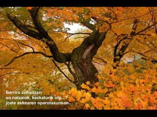 Berriro zuhaitzari
so natzaiok, kezkaturik ote...?
joate askearen oparotasunean…
 