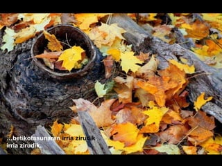 …betikotasunaren irria zirudik,
irria zirudik.
 